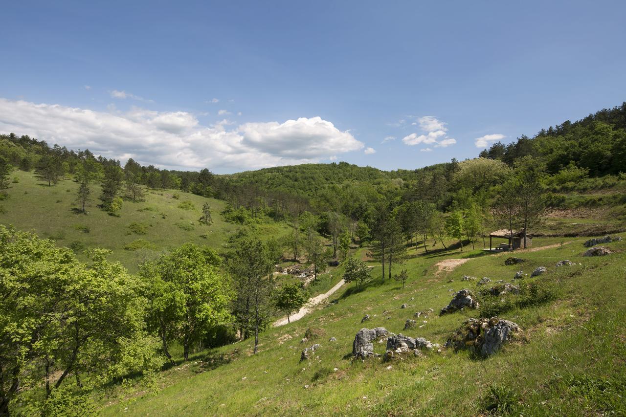 Resort Čiže Pazin Exterior foto